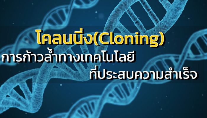 โคลนนิ่ง (Cloning) การก้าวล้ำของนวัตกรรมทางเทคโนโลยีที่ประสบความสำเร็จ