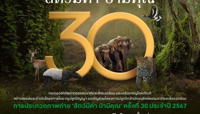 ก้าวสู่ปีที่ 30…การประกวดภาพถ่าย 'สัตว์มีค่า ป่ามีคุณ' ปี 2567 เปิดรับผลงานตั้งแต่วันนี้ถึง 31 ส.ค. 67
