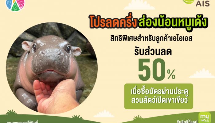 AIS เผยหมูเด้ง ทุบสถิติ ยอดการแลกรับส่วนลดเข้าชมโตพุ่ง 400% พร้อมเอาใจแฟนคลับเพิ่มสิทธิ์ ส่วนลด 50% ให้ลูกค้า AIS ที่สวนสัตว์เปิดเขาเขียว