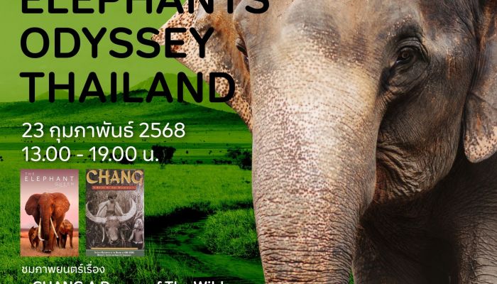 TK Park ชวนเปิดโลก 'Elephants Odyssey Thailand' เสวนา หนัง และ ศิลปะ เพื่อช้าง