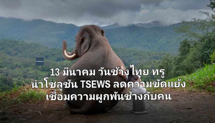 13 มีนาคม วันช้างไทย ทรู นำโซลูชัน TSEWS ลดความขัดแย้ง เชื่อมความผูกพันช้างกับคนอยู่ร่วมกันอย่างยั่งยืนในยุคดิจิทัล