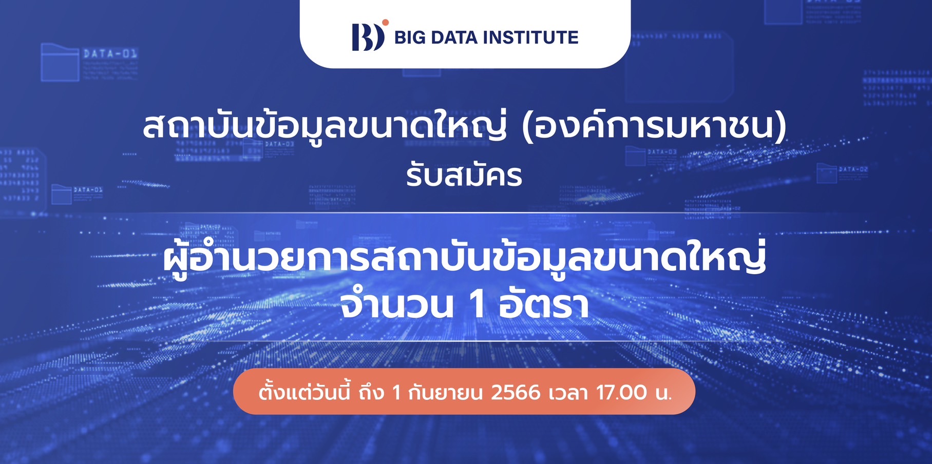 BDI เปิดรับสมัครบุคคลเข้ารับการสรรหาเพื่อดำรงตำแหน่ง ผู้อำนวยการสถาบันข้อมูลขนาดใหญ่ (องค์การมหาชน)