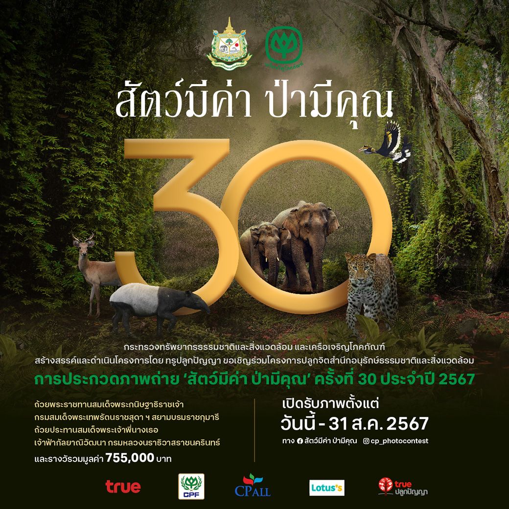 ก้าวสู่ปีที่ 30…การประกวดภาพถ่าย 'สัตว์มีค่า ป่ามีคุณ' ปี 2567 เปิดรับผลงานตั้งแต่วันนี้ถึง 31 ส.ค. 67